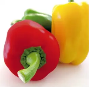 alimentos