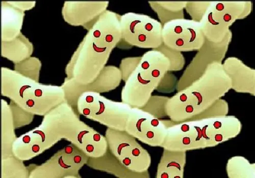 divertida