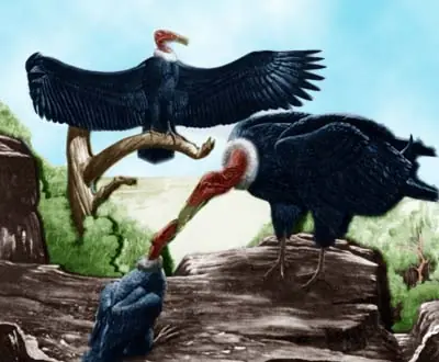 Mesozoico