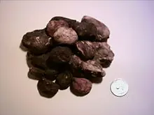 Tobas Bolivianos, danza tipica