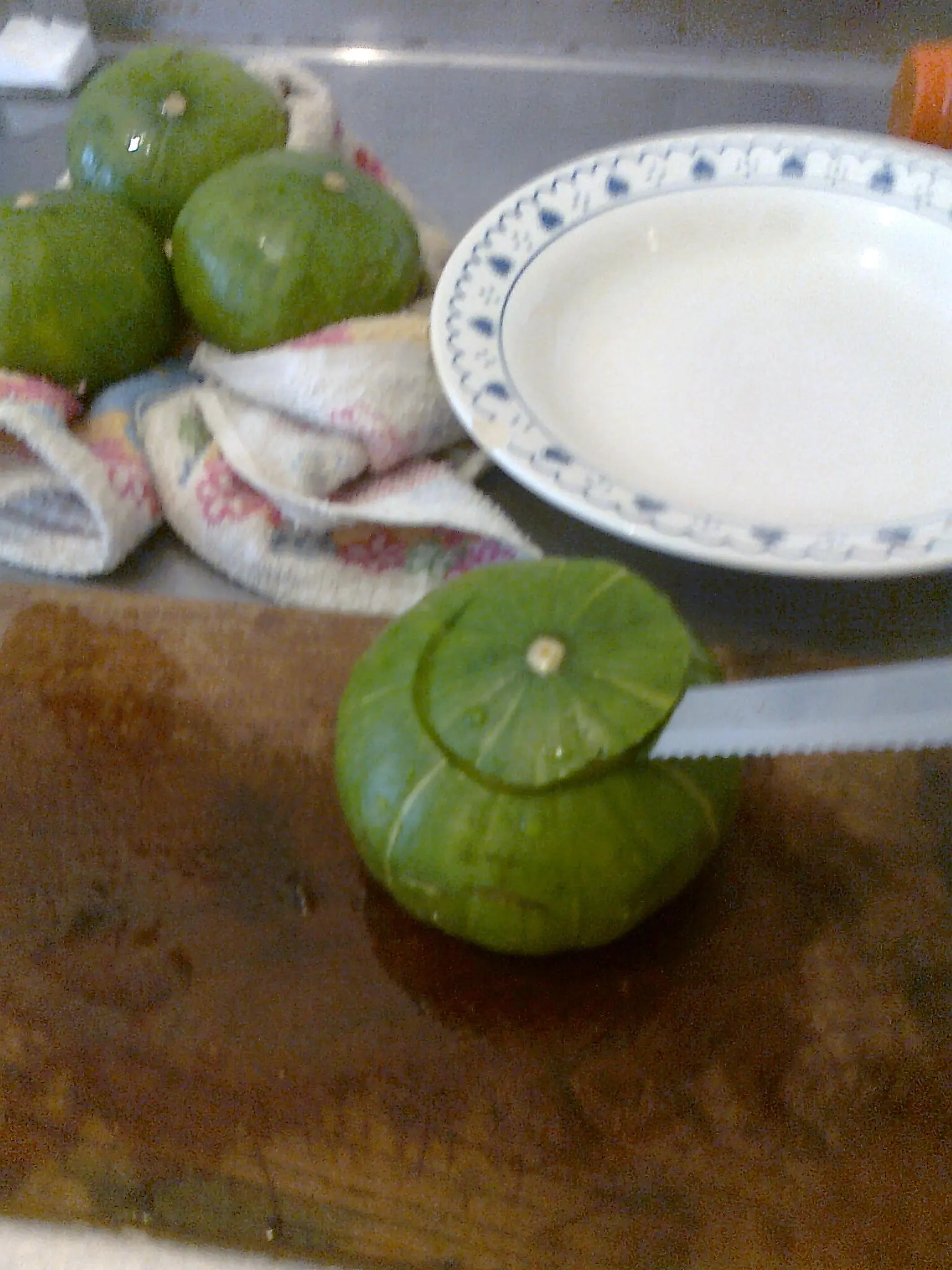 rellenos