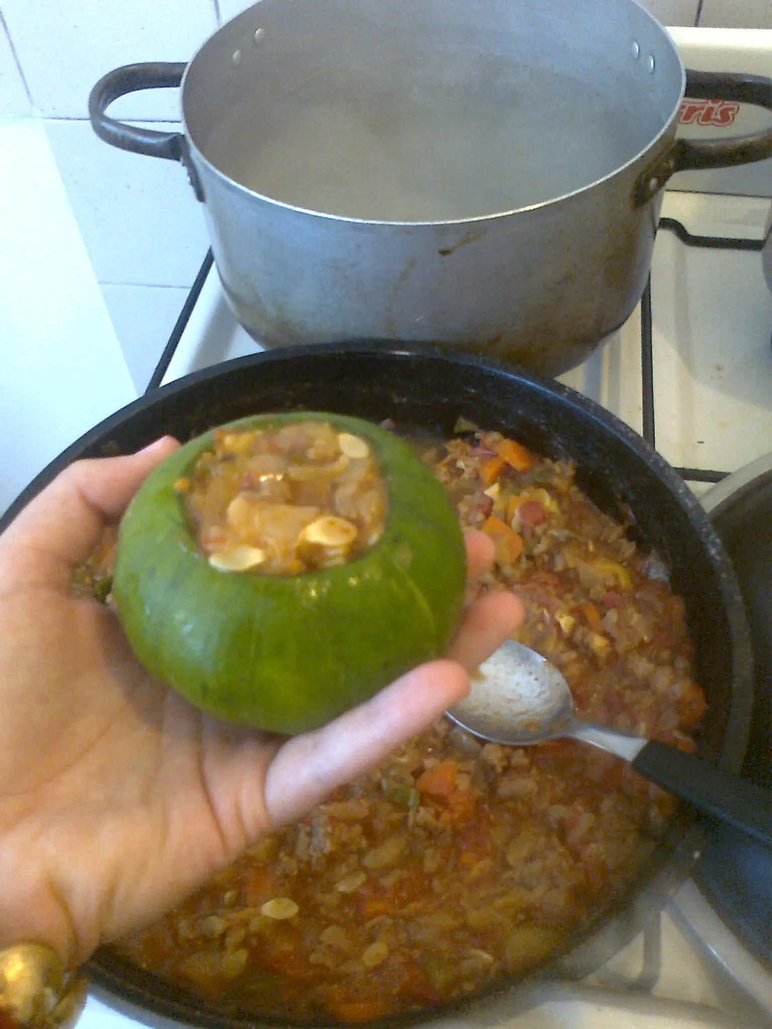zapallitos