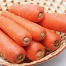 cansada