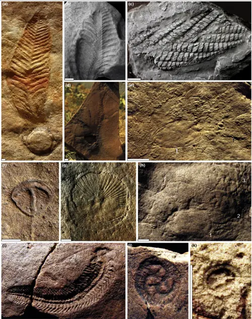 geologico