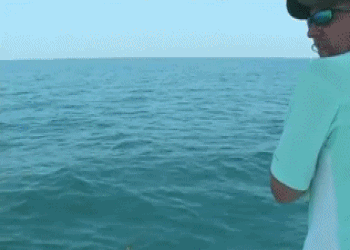 Humor,Gifs,Chicas,videos y mas! [Parte 1]