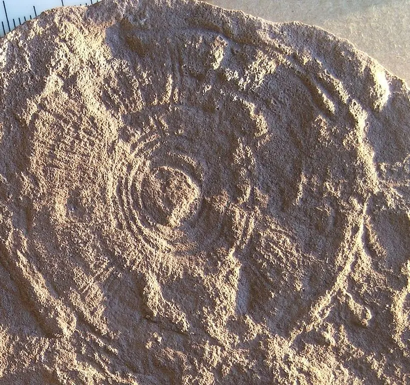 juracico