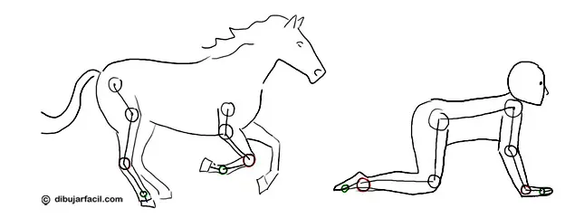 Aprende a dibujar fácilmente, pasa!