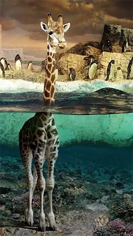 [Megapost]Las Alucinaciones Photoshophianas Mas locas