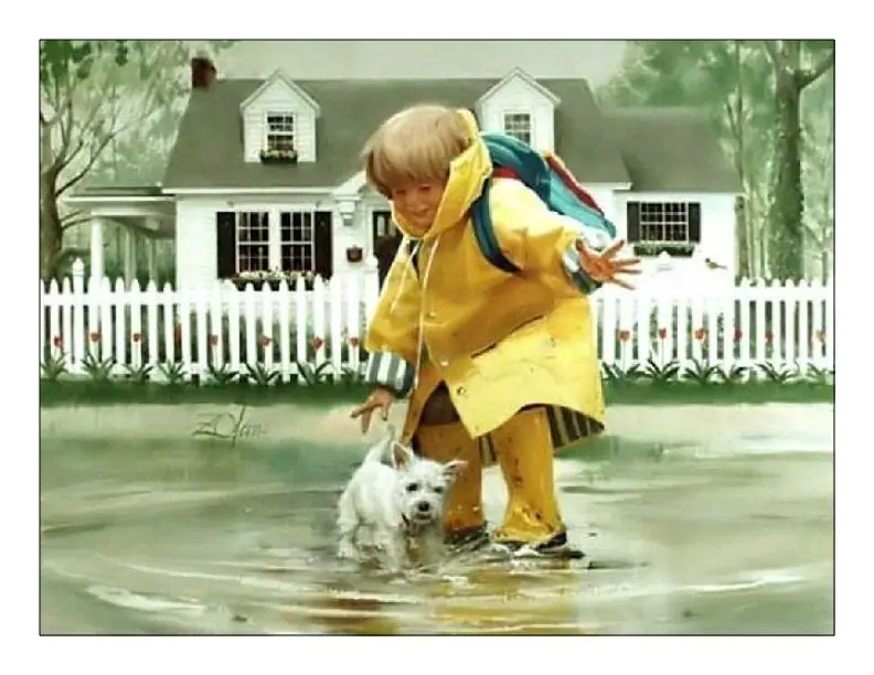 pets