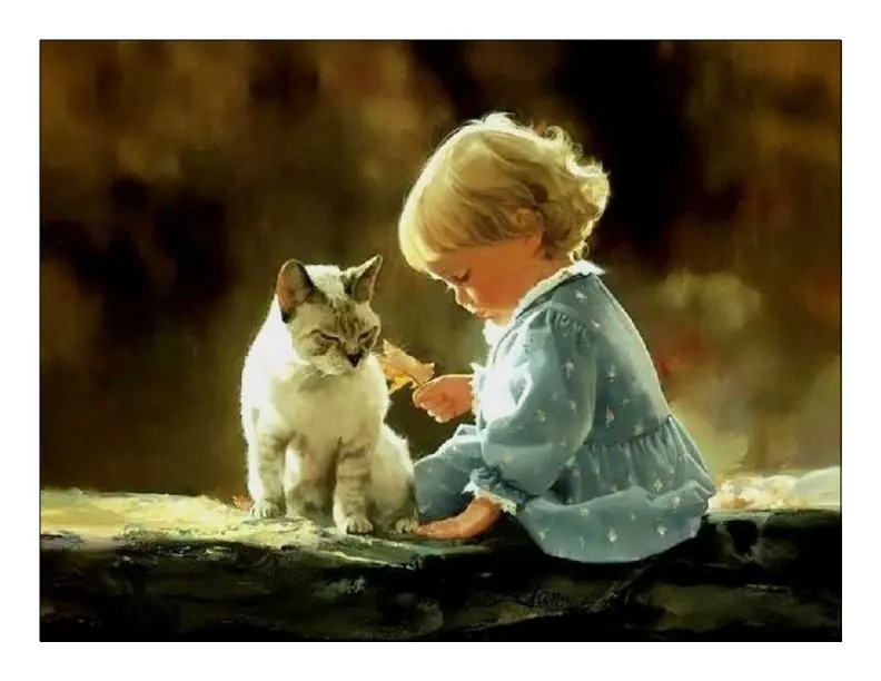 pets