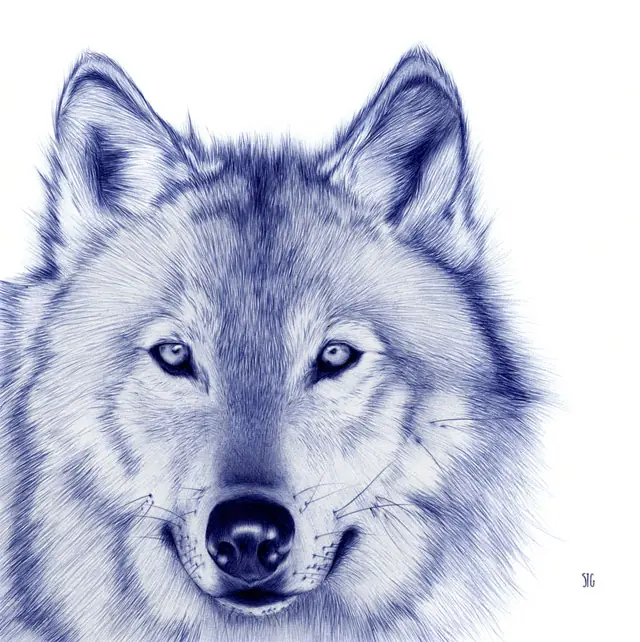 Maravillosos dibujos hechos con lapicera (bolígrafo)