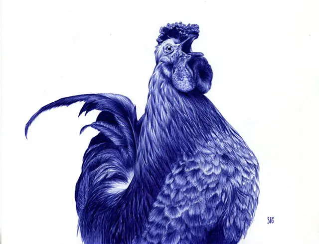 Maravillosos dibujos hechos con lapicera (bolígrafo)