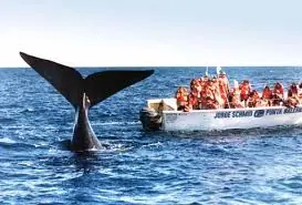 Puerto Madryn