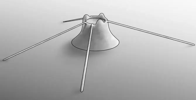 Confirman el hallazgo del animal más antiguo del mundo con