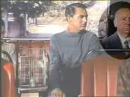 Hitchcock y sus cameos
