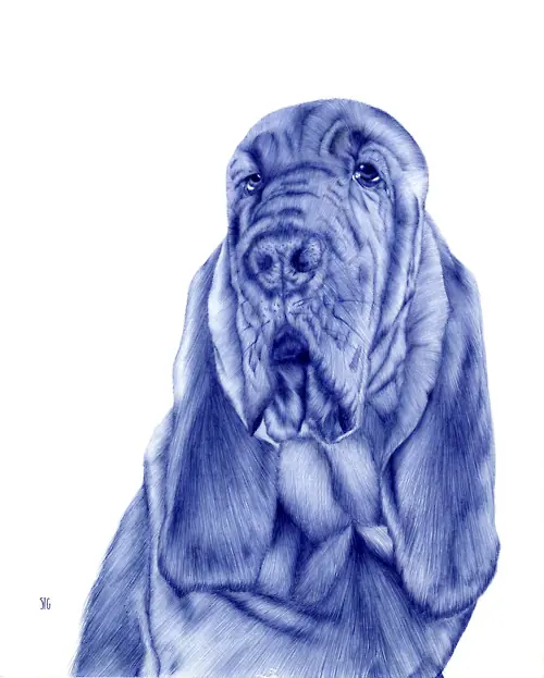 Maravillosos dibujos hechos con lapicera (bolígrafo)