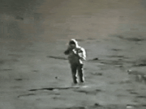 Gifs,gifs y mas gifs graciosos