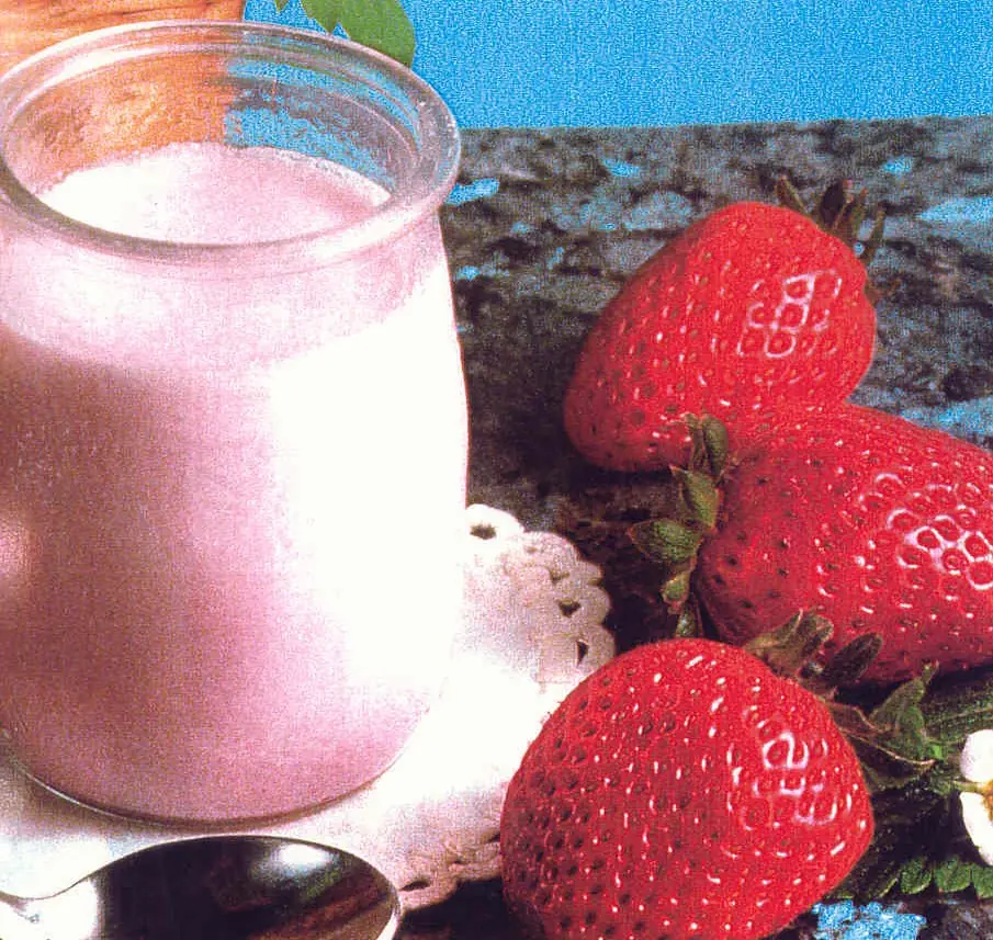 yogur