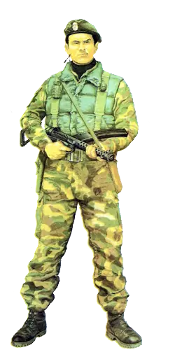 Los uniformes de la Guerra de Malvinas