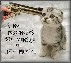 Preguntas