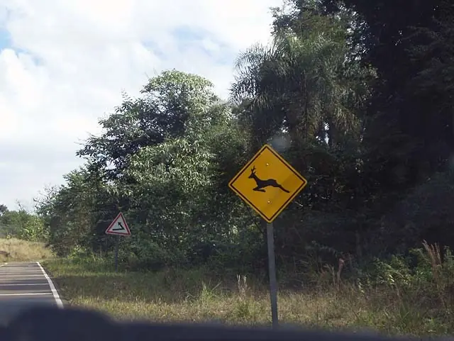 Pasafau
