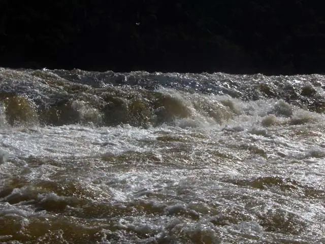 Reserva Yabotí