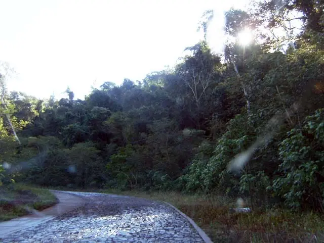 Pasafau