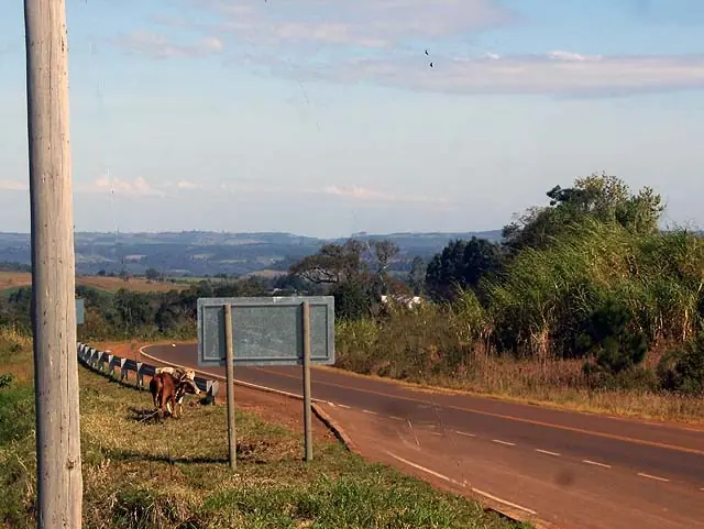 Rutas de la selva