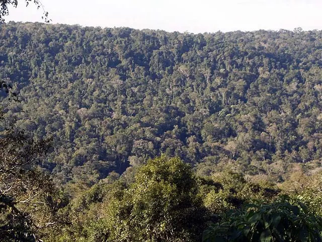 Reserva Yabotí