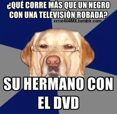 [humor] el perro racista