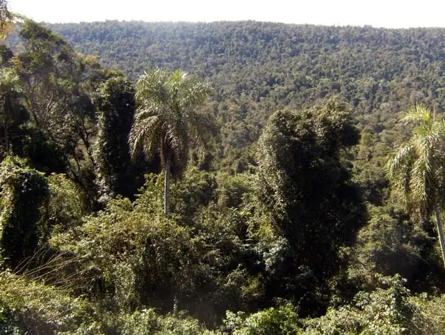 Rio Uruguay