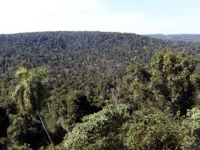 Rutas de la selva