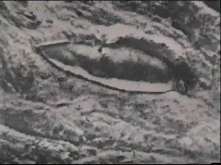 arca de noe