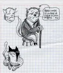 gatos
