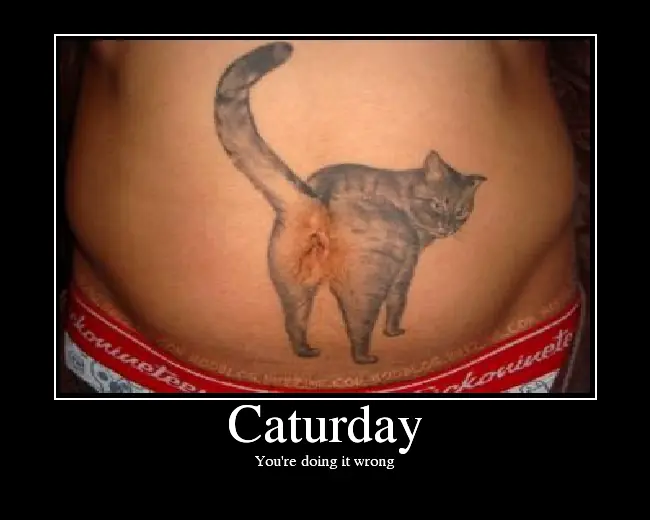 Que la chu... it's caturday XD