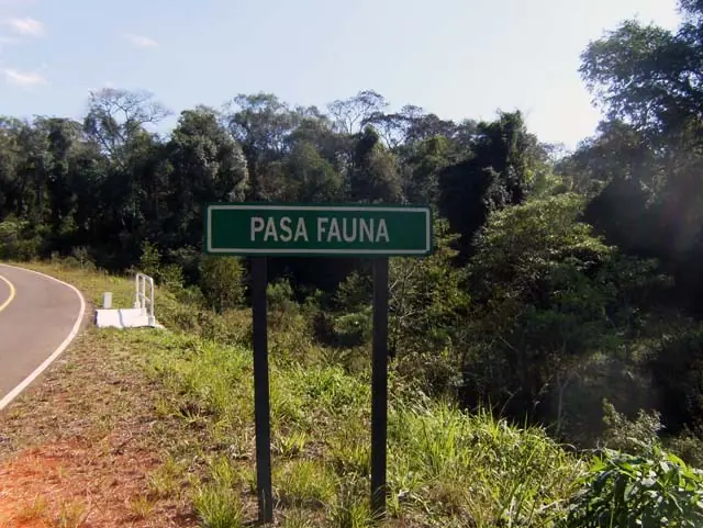 Saltos del Moconá, una experiencia única. (fotos propias