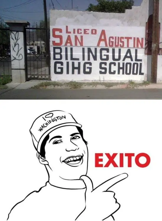 perro racista