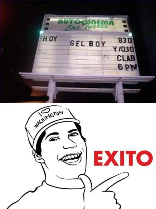 perro racista
