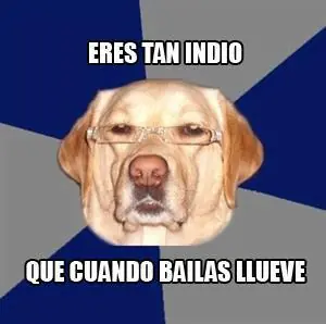 labrador