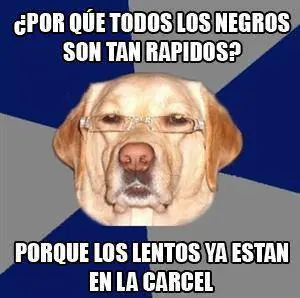 [humor] el perro racista