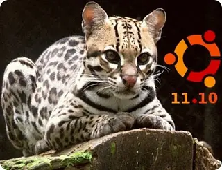 Ubuntu