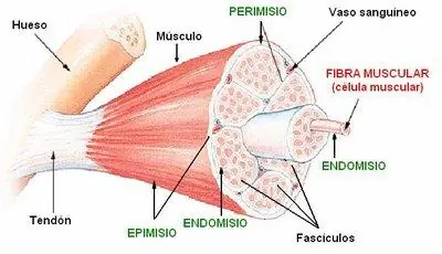 biología