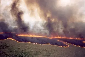 climaticos