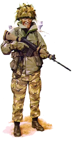 guerra de malvinas