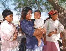 Operaciones en la web (Pueblos originarios Chaco)