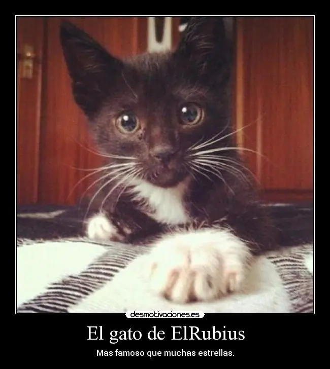 Dale +10 a elrubius que nos saco una sonrisa con sus videos!