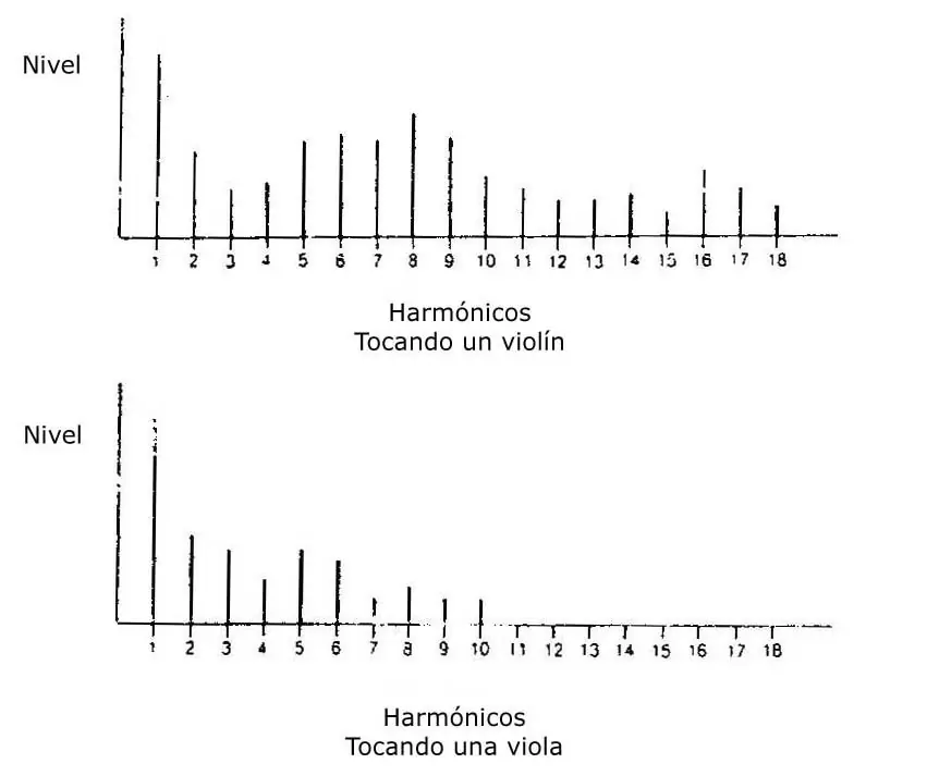 fisica