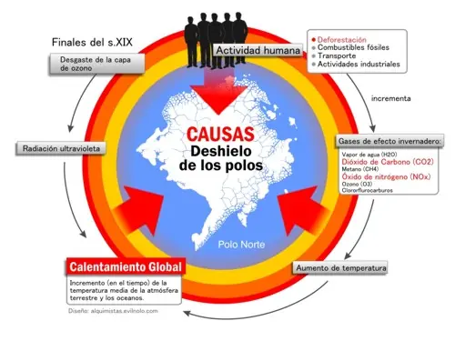 nuestro mundo en peligro[mas libros]