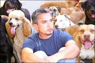Los trucos de encantador de perros