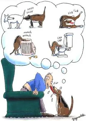 imagenes divertidas